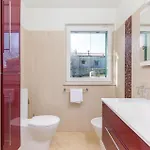 Gorgeous In With Jacuzzi Tatil Evi Režanci